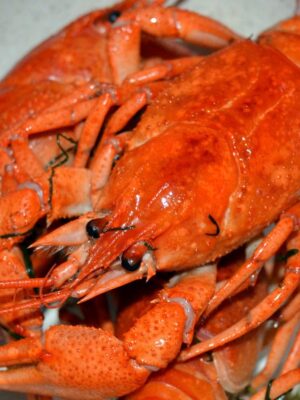 Зарабатывайте с нашей партнерской программой в категории Раки вареные