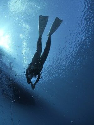 Зарабатывайте с нашей партнерской программой в категории Дайвинг