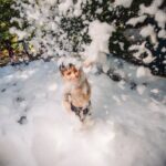 Пенная вечеринка