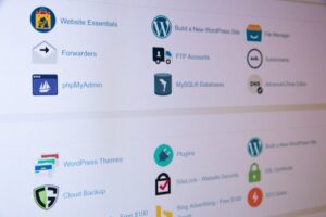 Оптимизация сайта на CMS WordPress